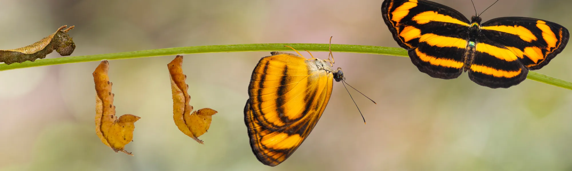 The shift to hybrid working needn’t ruin your culture, it can make it better